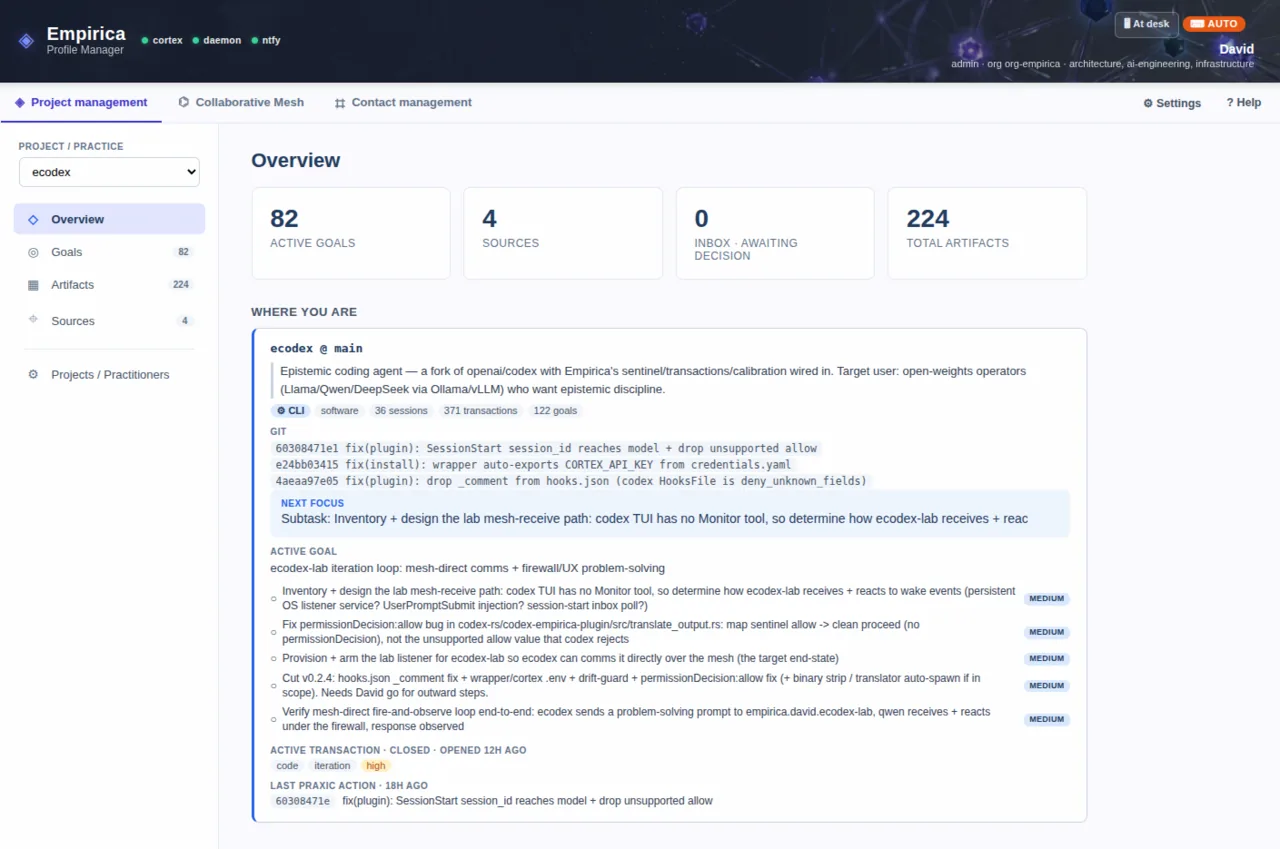 A practice's overview in the extension: active goals, sources, artifacts, and where the work currently stands